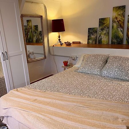 Apartmán La Casita Del Bosque Sant Pere De Ribes Exteriér fotografie