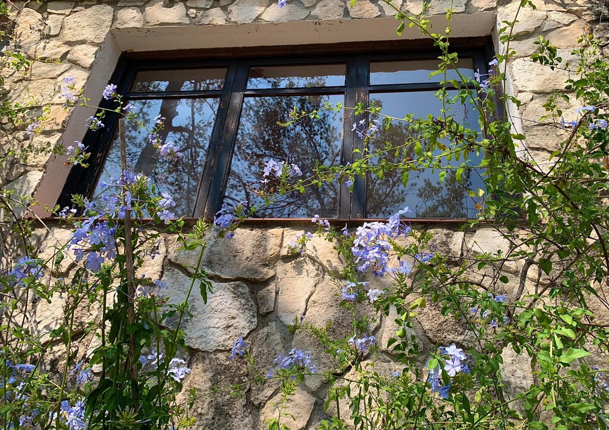 Apartmán La Casita Del Bosque Sant Pere De Ribes Exteriér fotografie